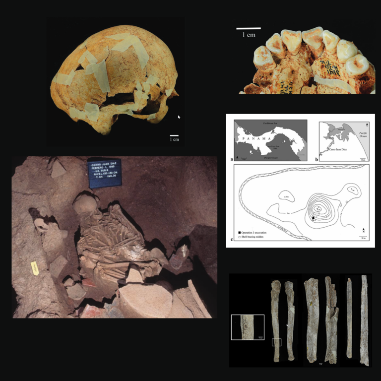 Patterns of Disease and Culture in Ancient Panama